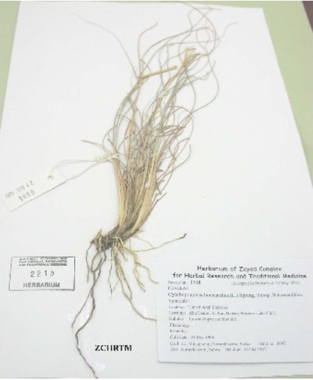 Herbarium sample