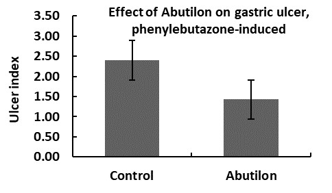 Effect of Abutilon on gastric ulcer phenylbutazone induced
