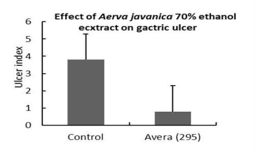 Effect of Aerva javanica 70 % ethanol extract on gastric ulcer