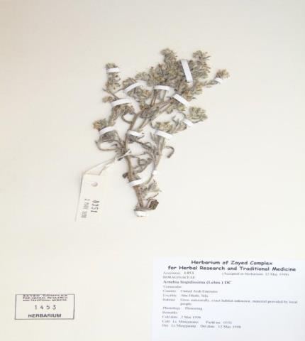 Herbarium specimen