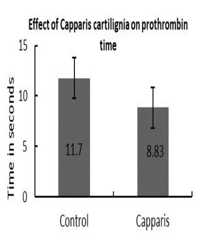 Effect on prothrombin time