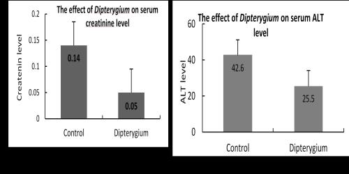 The effect of Dipterygium on BUN