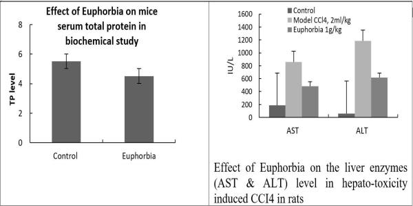 Effect on serum total protein