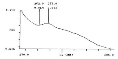 Intestinal Fluid simulated without pancreatic