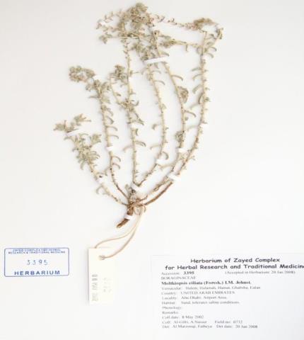 Herbarium specimen