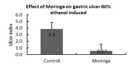 Effect on gastric ulcer