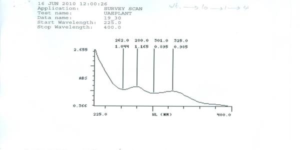 Intestinal Fluid simulated without pancreatic