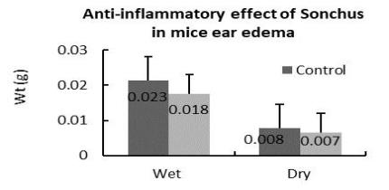 Anti-inflammatory on mice ear edema