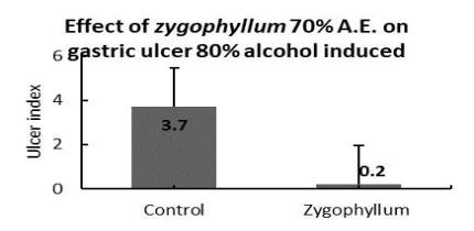 Effect on gastric ulcer