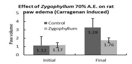 Effect on rat paw edema